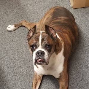 Meet your Posher, Gary